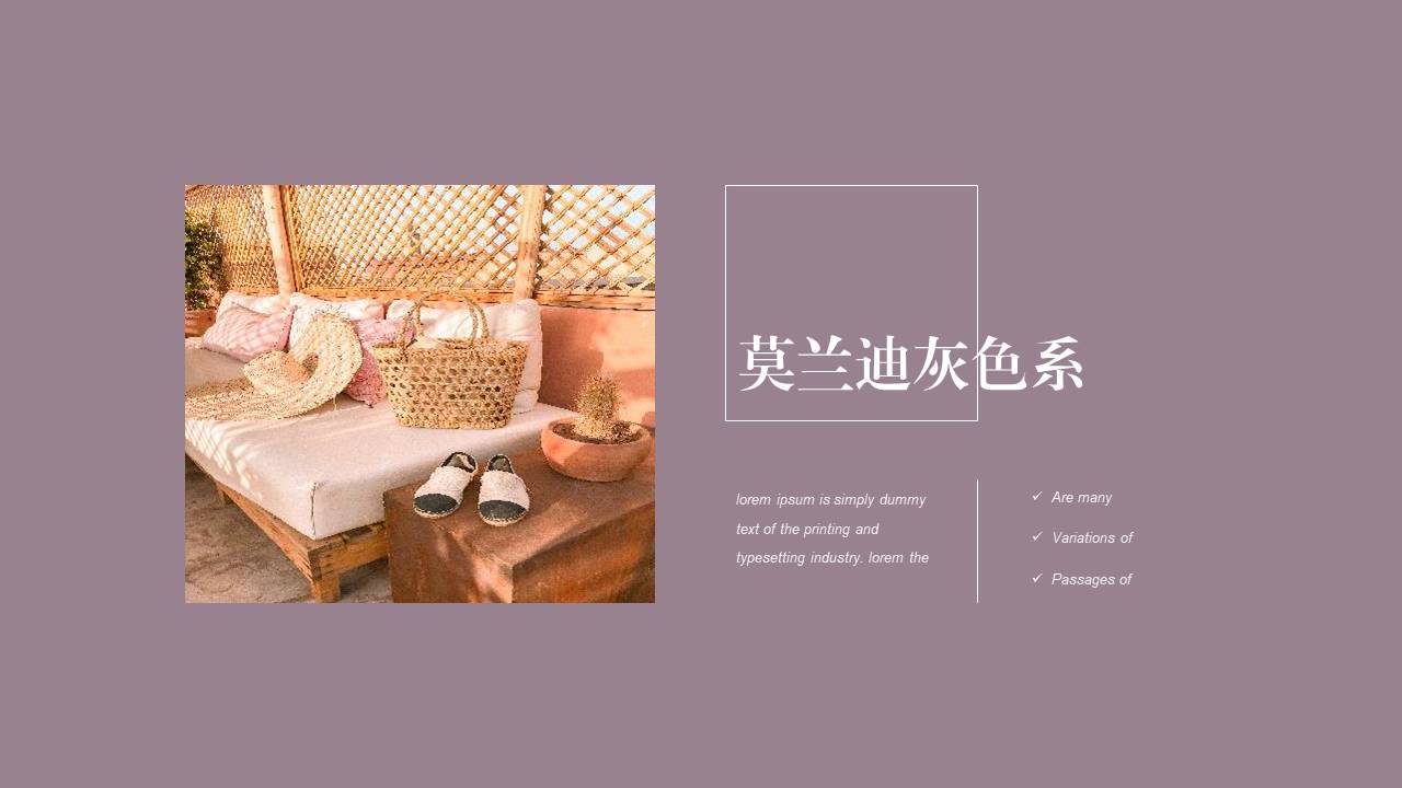 时尚风格 (71).pptx
